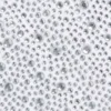 POLSINI CON STRASS SELEZIONATI DA HUN KIM
